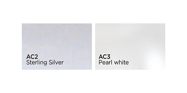 colori acrilici e struttura guscio